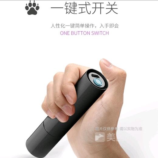 伍德氏灯照猫藓灯宠物真菌检测手电筒荧光紫光灯USB充电式1个 商品图4
