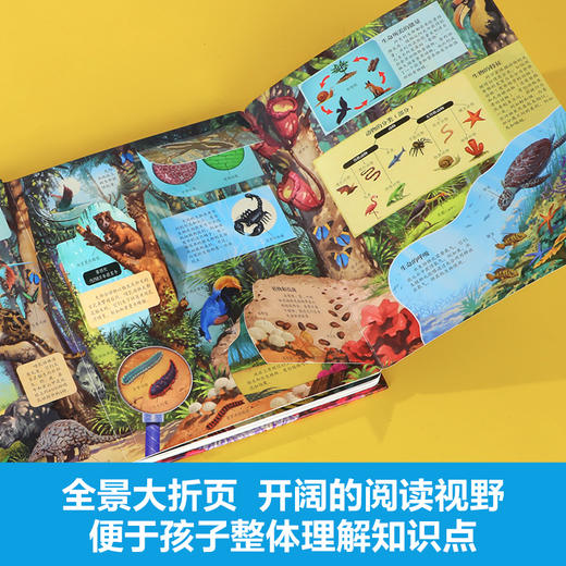 乐乐趣揭秘翻翻书系列第九辑-揭秘生命简史 商品图5