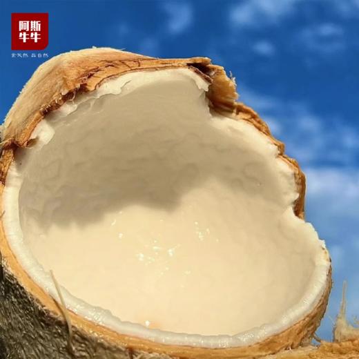 【泰国椰皇】满满椰汁，Q弹椰肉，清甜爽口，天然果冻 商品图3