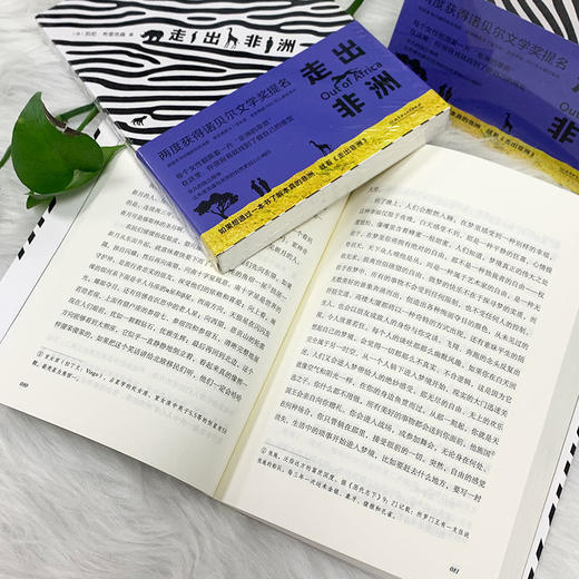 走出非洲 商品图2