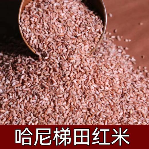 【1300年老米种】《买二包邮，买四免一》云南红河 哈尼梯田 老米种红米 新米糙米 4斤 商品图0
