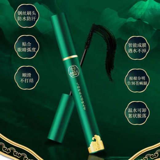 色彩主义气韵纤长定型睫毛膏 商品图2