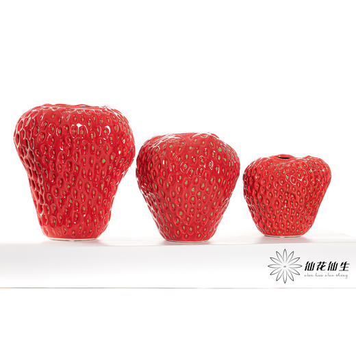 瓶器 | C0-G0137 草莓花瓶红色【4个一件   包邮  厂家直发，时效三天左右】 商品图0