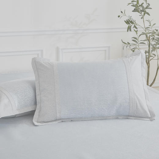 冰丝枕套    48*74cm 商品图0