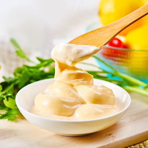 法国乐禧瑞蛋黄酱425g 商品图4