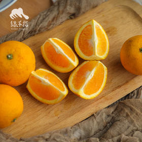 生态夏橙（偏酸） | 合作生产 * Ecological Summer Orange | Partner Production