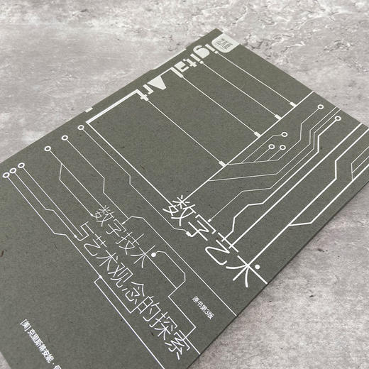 数字艺术  数字技术与艺术观念的探索（原书第3版） 商品图3