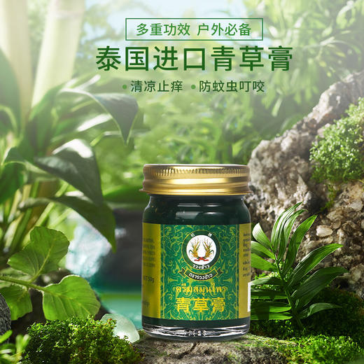 泰国稻穗青草膏 儿童驱蚊香草膏蚊虫叮咬止痒清凉油舒缓膏15g*3瓶/50g*3瓶 商品图2