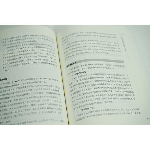 阳光照亮未来：“护苗”工作手册  中央宣传部反非法反违禁局编 商品图4