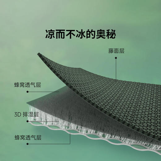 8H-LD6 艾草驱蚊透气御藤席 & 8H-LD6S 青绿腰艾草驱蚊透气御藤床笠 商品图2