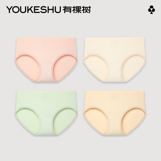 有棵树女士高弹无侧缝中腰内裤3条装C-S591 商品图0