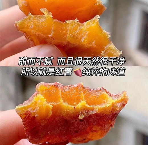 番薯宝贝 小香薯 商品图1