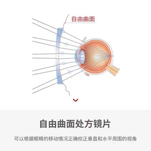 【近视太阳眼镜定制】SWANS狮王视 运动太阳眼镜 商品图4