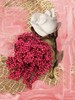 【全球购】【1525元会员福利】柏芮朵无人之境淡香精 50ml 玫瑰    商品缩略图2