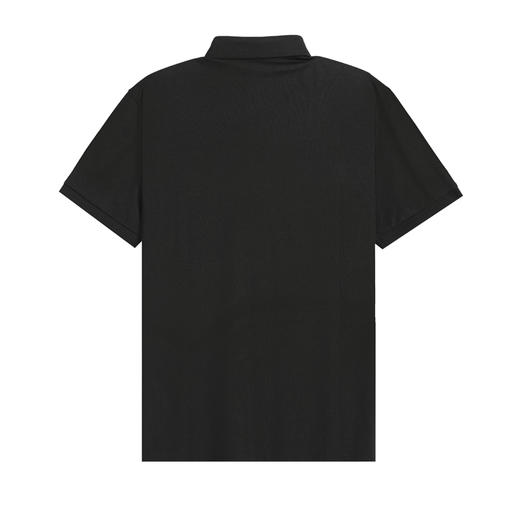 HX 夏季翻领短袖T恤Y102320131101/02POLO杉 商品图4