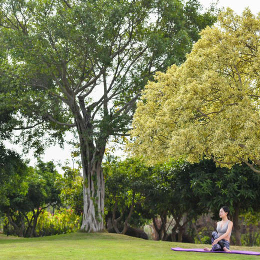 厦门海悦山庄酒店·水苑别墅 商品图3