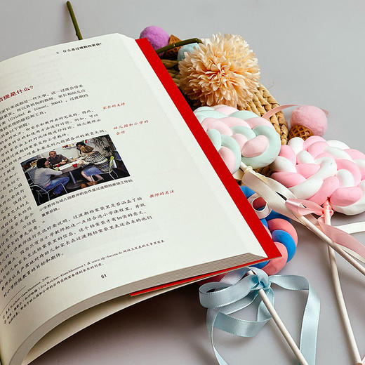 德国学前儿童档案袋工具 全2册 书+模板 德国学前教育STEM系列丛书 商品图9