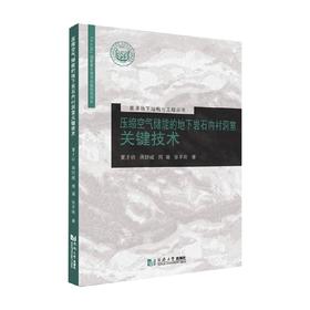 压缩空气储能的地下岩石内衬洞室关键技术 夏才初 著 建筑