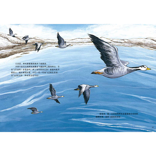 东方娃娃 飞吧，飞过最高的山 5-10岁 精装 商品图3