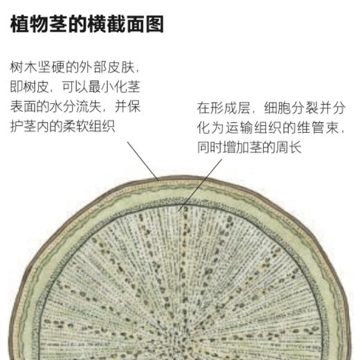 《英国皇家园艺学会园艺修剪手册》 商品图5