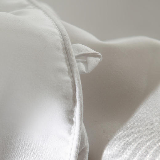 KCS-002 虎头压花蚕丝四季被 商品图5