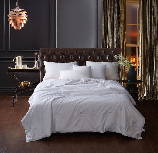 恒源祥 世华洛冰沁蚕丝被200*230 100%桑蚕丝600g  商品图1