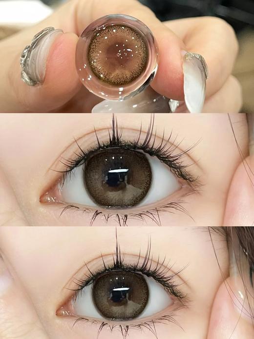 Ginomii旗下 · 咖喱果子｜半年抛 14.5mm白狮参考着色中大直径 商品图3