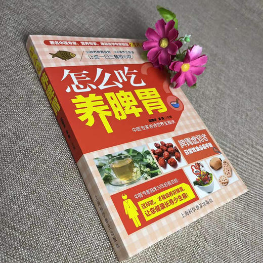 【9.9元包邮】怎么吃养脾胃养好脾胃人不老 脾胃虚弱怎么吃 养生健脾养胃食谱调养脾胃 脾胃怎么养食疗药膳菜谱日常饮食 养脾胃书籍食疗养生书籍 商品图1