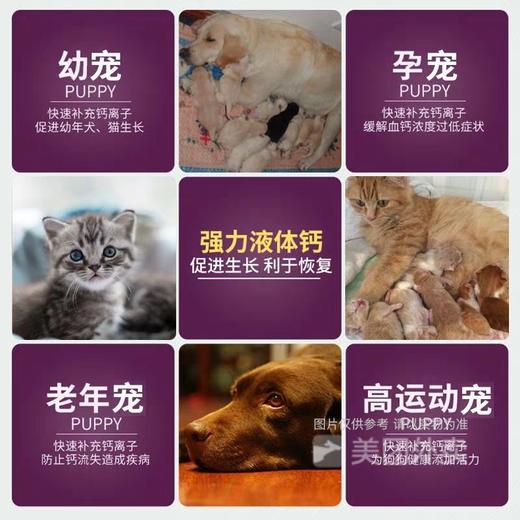 雷米高强力液体钙犬猫钙片产后速补增营养健骨补钙100ml 商品图2