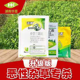 恶性杂草专杀方案田埂开荒林间果园除草一扫光灌木藤蔓专用除草剂