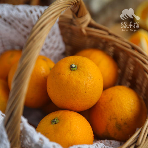 生态夏橙（偏酸） | 合作生产 * Ecological Summer Orange | Partner Production 商品图4