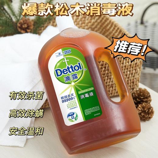 滴露消毒液1.8L 满足衣服/地板/皮肤/家具等多场景消杀需求 sha菌+消毒+除螨 商品图3