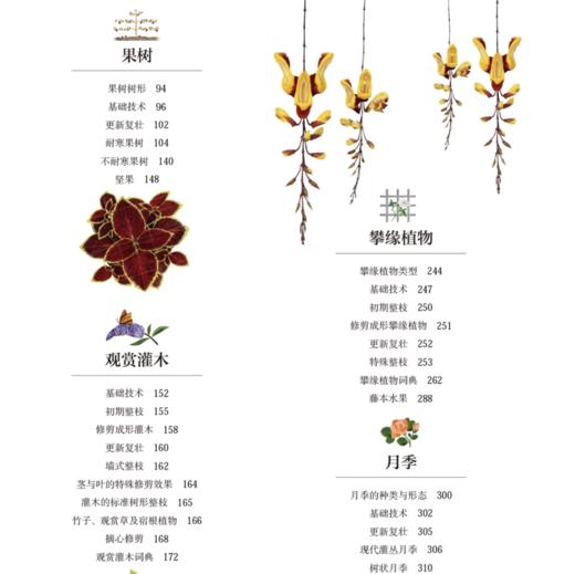 《英国皇家园艺学会园艺修剪手册》 商品图7
