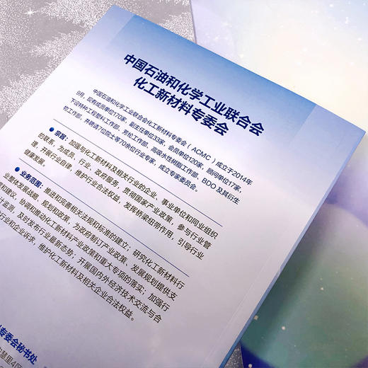 中国化工新材料产业发展报告（2022） 商品图6