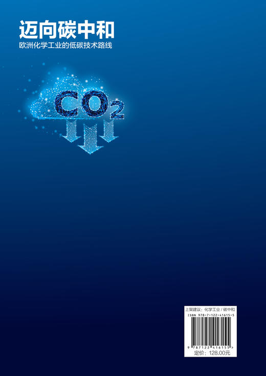 迈向碳中和——欧洲化学工业的低碳技术路线 商品图6