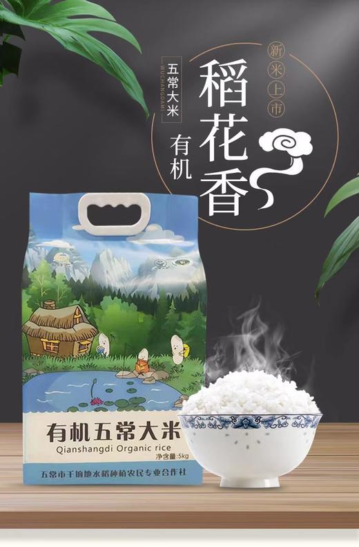 五常千垧地 千年水稻 百年贡米 保真五常有机大米5KG 商品图1