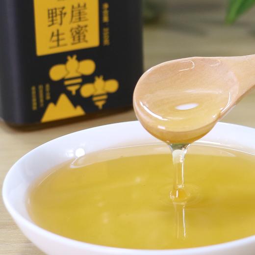 【崖蜜请放冰箱保存】黑大蜜蜂采集高山植物花蜜 350g/瓶 商品图1