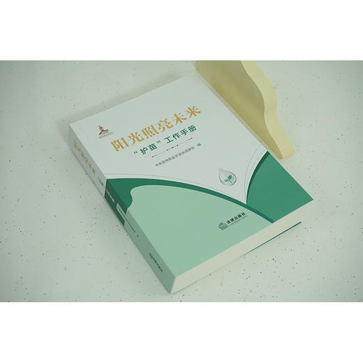 阳光照亮未来：“护苗”工作手册  中央宣传部反非法反违禁局编 商品图2
