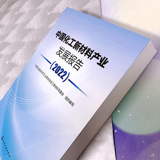 中国化工新材料产业发展报告（2022） 商品图9