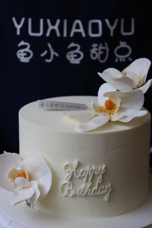 洁白蝴蝶兰 商品图3