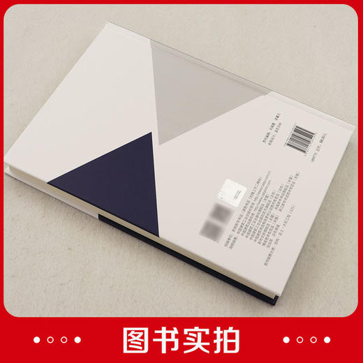 城市地下深层隧道施工关键技术——武汉大东湖深隧工程施工实践 商品图3