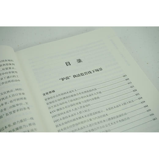 阳光照亮未来：“护苗”工作手册  中央宣传部反非法反违禁局编 商品图6