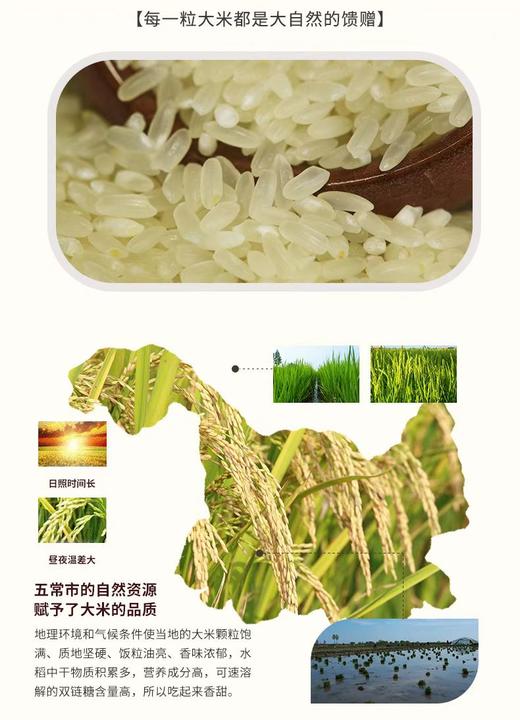 五常千垧地 千年水稻 百年贡米 保真五常有机大米5KG 商品图3