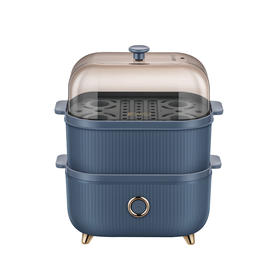 山水多功能电蒸锅S-ZG1705