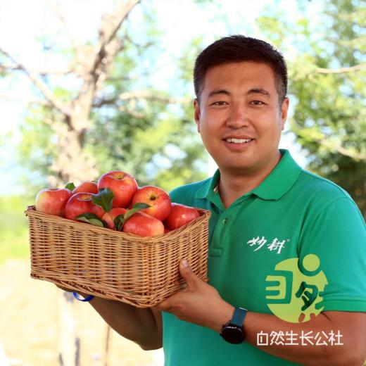 生态黄豆【该品种不易发芽】 | 来自陕西省千阳县 | 肾形老品种黄豆，高原生长昼夜温差大，有机种植，颗颗精选，豆香醇郁发芽率高。430g/袋 商品图2