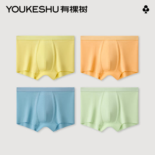 有棵树莫代尔男童内裤3条装C-ST573 商品图0