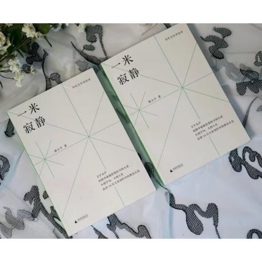 【“云端书展”专区】一米寂静  傅小平/著  访谈录    商品图3