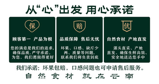 【蛋挞皮组合】酥脆挞皮 邂逅嫩滑蛋液 饱满挞皮 个头大 分量足 蛋挞皮26g/个 蛋挞液1kg/袋 2种规格任选 商品图5
