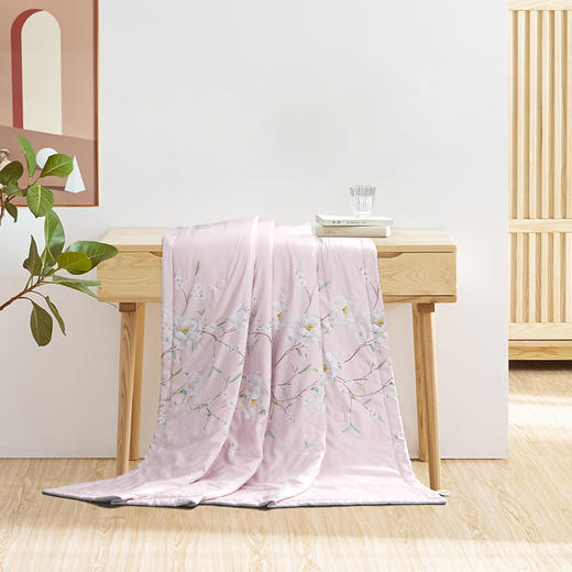 水星家纺 茶醉书香 夏凉被空调被300g/460g 商品图0