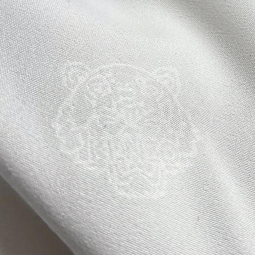 KCS-002 虎头压花蚕丝四季被 商品图4